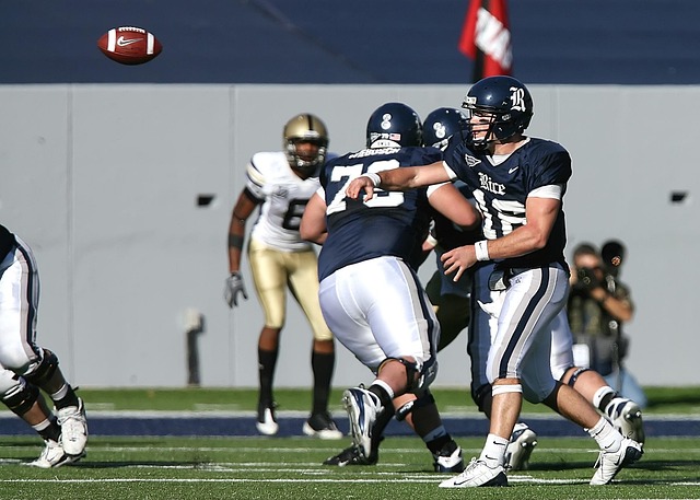 的老将来说 的老将来说